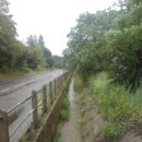 Bayford Brook
