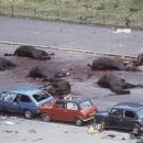 Explosions in 1982