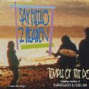 Say Hello 2 Heaven - Temple of the Dog
