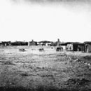 Western Apache
