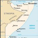 2008 murders in Africa