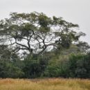 Biosphere reserves of Guinea