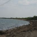 Estuaries of Queensland