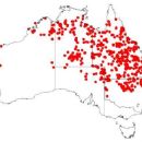 Taxa named by Bryan Alwyn Barlow