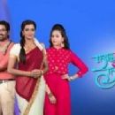 2020 Tamil-language television seasons