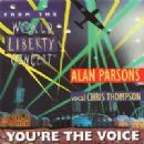 You're the Voice