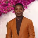 David Oyelowo - The 96th Annual Academy Awards (2024) - 408 x 612
