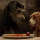 Lady and the Tramp (2019) - 454 x 272