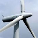 Renewable resource companies established in 1990