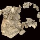 La Huérguina Formation