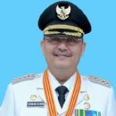 Dzulmi Eldin