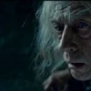 Harry Potter and the Deathly Hallows: Part 1 - John Hurt - 454 x 217