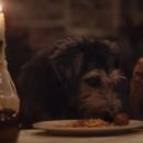 Lady and the Tramp (2019) - 454 x 226