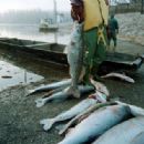 2000 health disasters