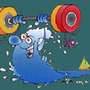 1999 in weightlifting