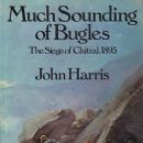 Much Sounding of Bugles