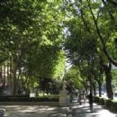 Streets in Madrid