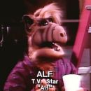 Paul Fusco- as Alf