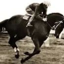 1937 in horse racing
