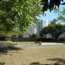 Landscapes designed by IP Santos