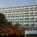 1950s architecture in New Zealand