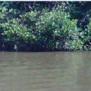 Rivers of the Caribbean