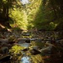 Pescadero Creek County Park