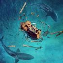 The Requin