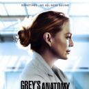 Grey's Anatomy (season 17) episodes