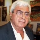 Palestinian lawyers