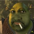 Shrek - 454 x 343