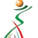 African national futsal teams