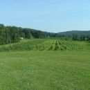 American Viticultural Areas of North Carolina