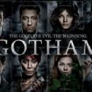 Gotham (2014) - 454 x 294