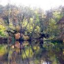 River Ock, Surrey