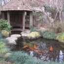 Museums in Peach County, Georgia