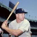Celebrities with last name: Mantle