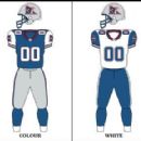 1990s in sports in Quebec