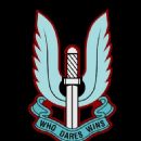 Military special forces regiments