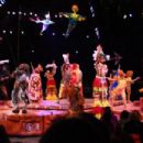 Festival of the Lion King