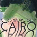 2013 Australian novels