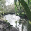 Teign catchment