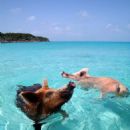 Beaches of the Caribbean by country
