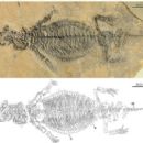 Triassic reptiles of Europe