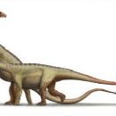 Taxa by Argentine author
