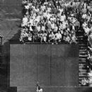 Sports competitions in Cleveland