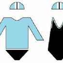 Surf Life Saving Australia clubs