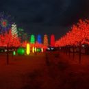 I-City