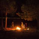 Yellowstone (2018)