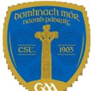 1942 in Gaelic games